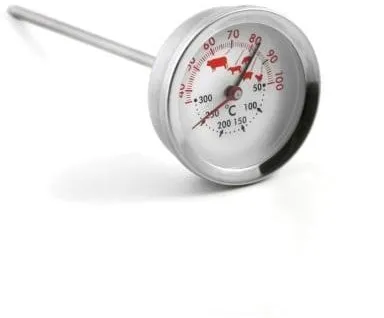 Bastian Roasting thermometer 15 cm Steel